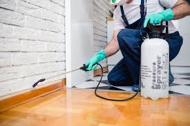 Best Real Estate Pest Inspections  in Westville, NJ